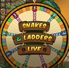 Alvynn Snakes and Ladders live casino game wheel